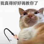   咕咕嘎嘎头像