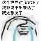 真哥梦想哭了头像