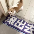 玛卡巴卡头像