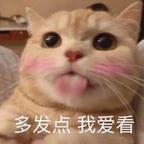 云凪止头像