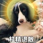 用户43116256头像