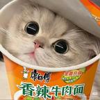 一起来抓晖晖头像