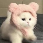 燕慧姐头像