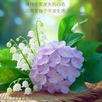 悠扬飞扬头像