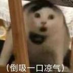 已老实头像
