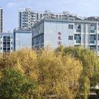喜欢醉仙桃的莫无脸头像