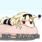国家一级保护废物头像