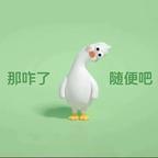 王头像