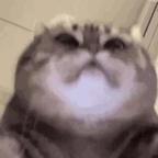 侬则xio侧佬头像