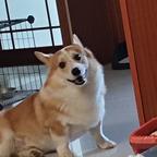 用户33495282头像