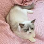 星星0123头像