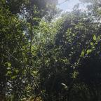 没完结就不要播别播头像