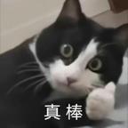 李字牌蚊香头像