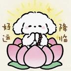 SY头像