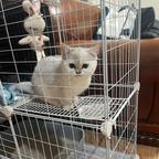 人性藏在短剧中头像