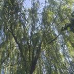 用户名24684247头像