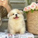 维维维cc他命头像