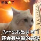 小兔头像