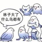 三青蛟头像