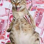 嘻嘻头像