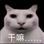 刀斩天下情头像