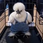 果果瘾头像