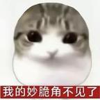 漫剧总结头像