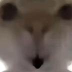 总有gou咬头像