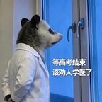 鹈鹕醍醐灌顶头像