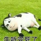 白诛子2头像