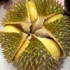 迷糊头像