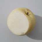 红果明珠头像