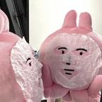 Liio.头像