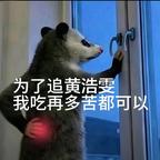 我来看剧哒～头像