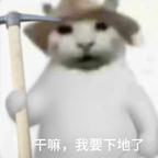 菜鸡头像