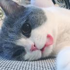 Yu头像
