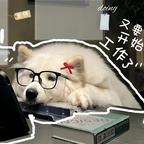 djllabcueiwbdia头像