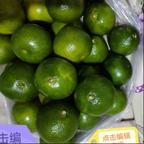 最爱短剧爽剧头像