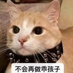 嘿嘿嘿头像