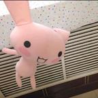 朱颜摇摇糖头像