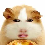 十七今天很开心头像