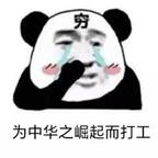 大胖头像