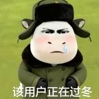 江舟渔火头像