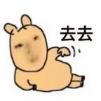 哪来的啥子头像