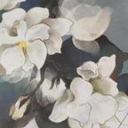 下雨时箜瑜头像