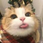池简漫头像