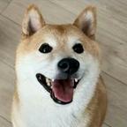 希里糊涂 头像