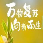 晚叙头像