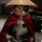 玉鉴之芝士碎片头像