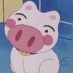 猪小天晴头像